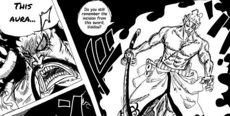 Bölüm 997 Oda bize Kaido'yu alacak olan biri olduğunu gösteriyor!